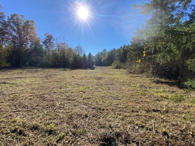 Cass County Home with 42 Acres - image 31