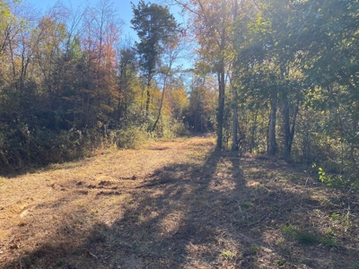 Cass County Home with 42 Acres - image 25