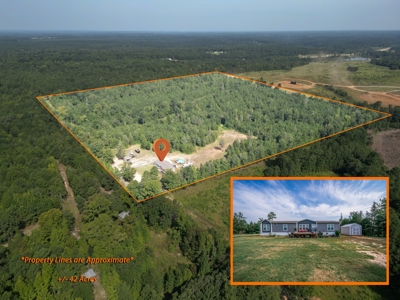 Cass County Home with 42 Acres - image 2