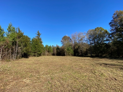 Cass County Home with 42 Acres - image 29
