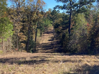 Cass County Home with 42 Acres - image 32