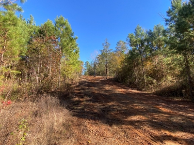 Cass County Home with 42 Acres - image 28