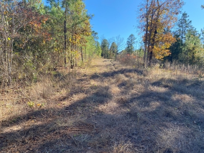 Cass County Home with 42 Acres - image 27