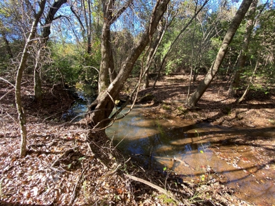 Cass County Home with 42 Acres - image 26
