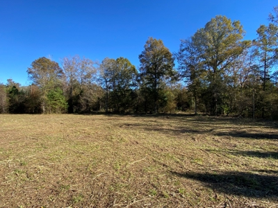 Cass County Home with 42 Acres - image 30