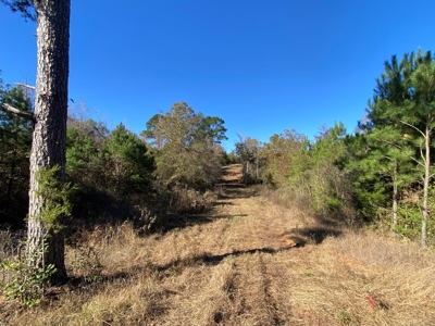 Cass County Home with 42 Acres - image 33