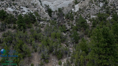 Vacant Land For Sale, Ten Sleep, Wyoming - image 5