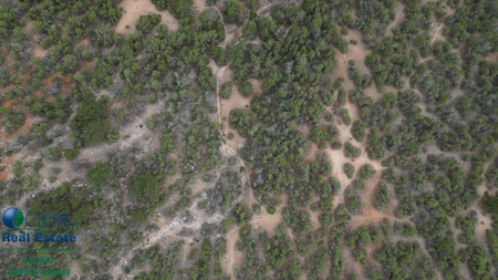 Vacant Land For Sale, Ten Sleep, Wyoming - image 7