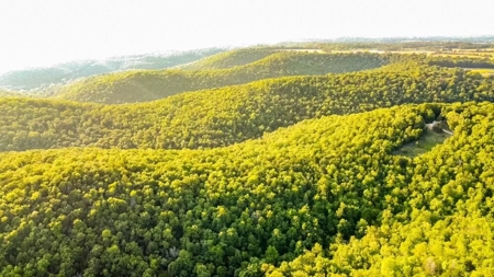 Mountain Land With Views For Sale in Newton County, Arkansas - image 17