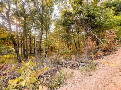 Mountain Land With Views For Sale in Newton County, Arkansas - image 10