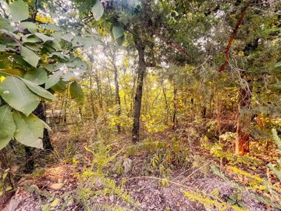 Mountain Land With Views For Sale in Newton County, Arkansas - image 11