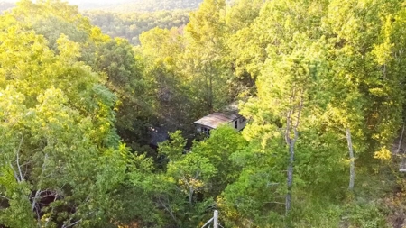 Mountain Land With Views For Sale in Newton County, Arkansas - image 13