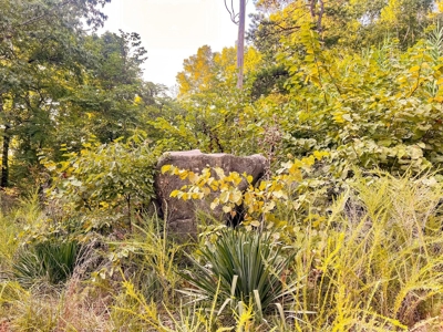 Mountain Land With Views For Sale in Newton County, Arkansas - image 8