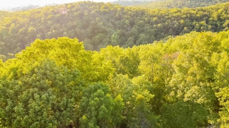 Mountain Land With Views For Sale in Newton County, Arkansas - image 14
