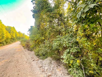 Mountain Land With Views For Sale in Newton County, Arkansas - image 12
