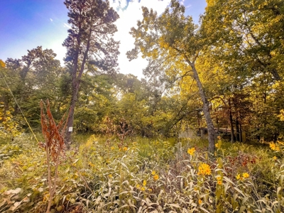 Mountain Land With Views For Sale in Newton County, Arkansas - image 9