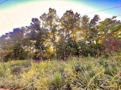 Mountain Land With Views For Sale in Newton County, Arkansas - image 1