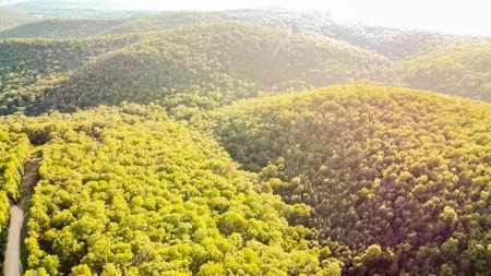 Mountain Land With Views For Sale in Newton County, Arkansas - image 18