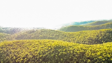 Mountain Land With Views For Sale in Newton County, Arkansas - image 16