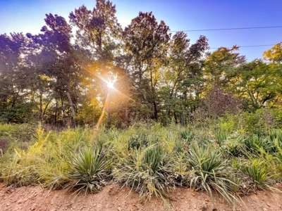 Mountain Land With Views For Sale in Newton County, Arkansas - image 4