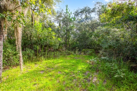 Home And Land For Sale In Lake County Florida!! - image 21