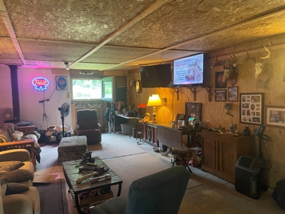 Perfect Country Retreat Ideally Located Just Outside Decorah - image 19