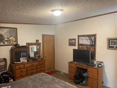 Perfect Country Retreat Ideally Located Just Outside Decorah - image 13