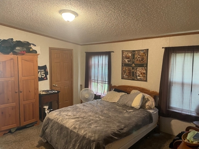 Perfect Country Retreat Ideally Located Just Outside Decorah - image 12