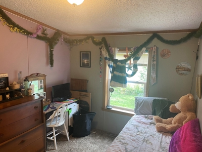 Perfect Country Retreat Ideally Located Just Outside Decorah - image 17