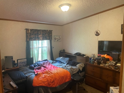 Perfect Country Retreat Ideally Located Just Outside Decorah - image 16