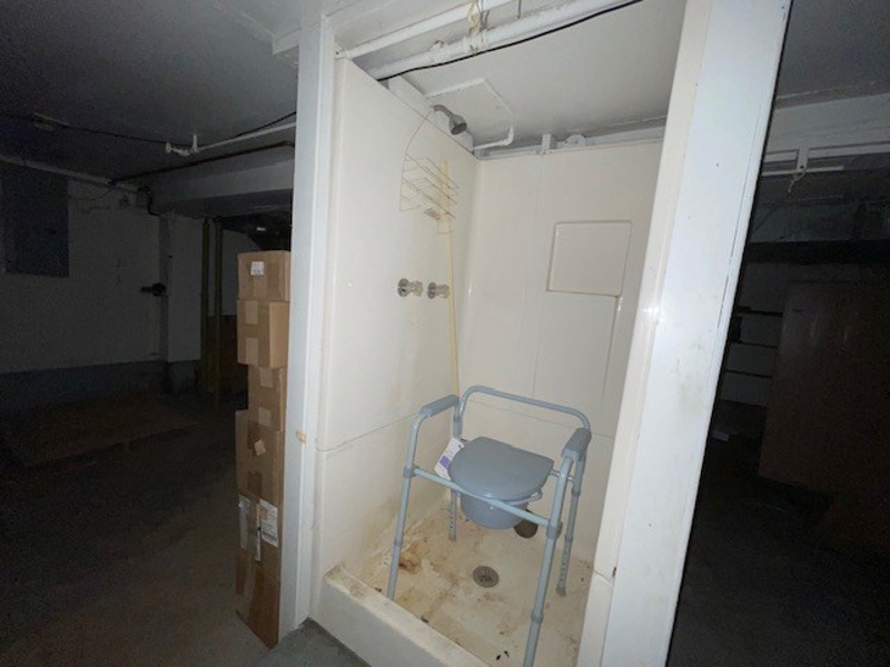 Shower in Basement