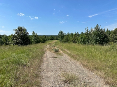 Riverfront Lot For Sale Little Red River Heber Springs, AR - image 2