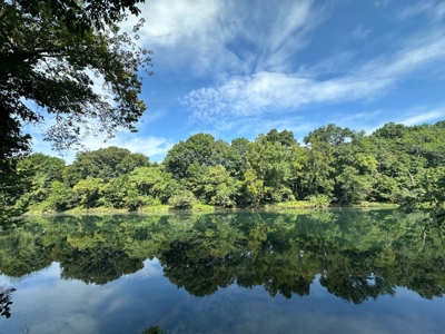 Riverfront Lot For Sale Little Red River Heber Springs, AR - image 11
