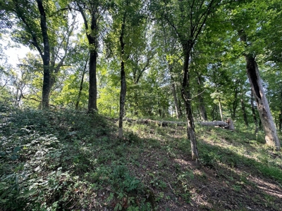 Riverfront Lot For Sale Little Red River Heber Springs, AR - image 9