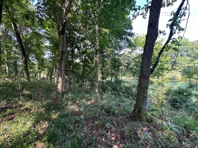 Riverfront Lot For Sale Little Red River Heber Springs, AR - image 20