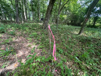 Riverfront Lot For Sale Little Red River Heber Springs, AR - image 5