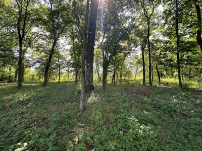 Riverfront Lot For Sale Little Red River Heber Springs, AR - image 18