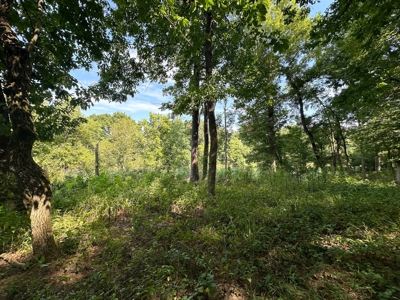 Riverfront Lot For Sale Little Red River Heber Springs, AR - image 31