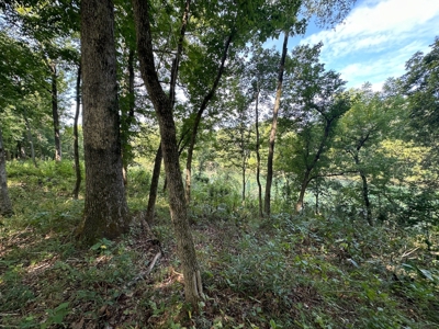 Riverfront Lot For Sale Little Red River Heber Springs, AR - image 23