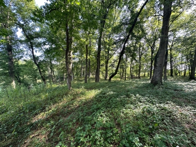 Riverfront Lot For Sale Little Red River Heber Springs, AR - image 30