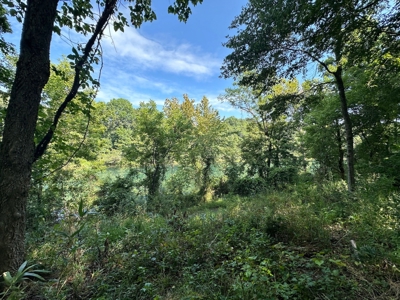 Riverfront Lot For Sale Little Red River Heber Springs, AR - image 22