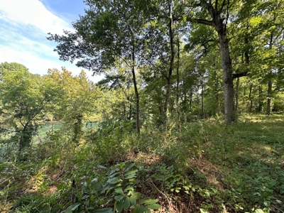 Riverfront Lot For Sale Little Red River Heber Springs, AR - image 16