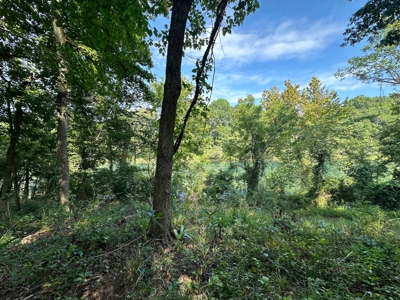 Riverfront Lot For Sale Little Red River Heber Springs, AR - image 21