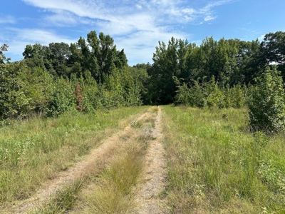 Riverfront Lot For Sale Little Red River Heber Springs, AR - image 1