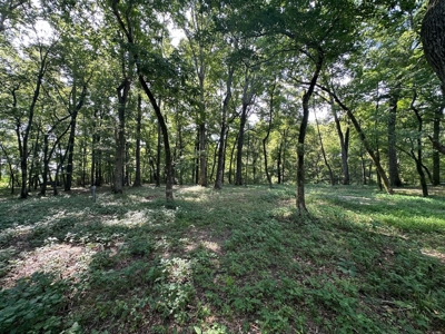Riverfront Lot For Sale Little Red River Heber Springs, AR - image 28