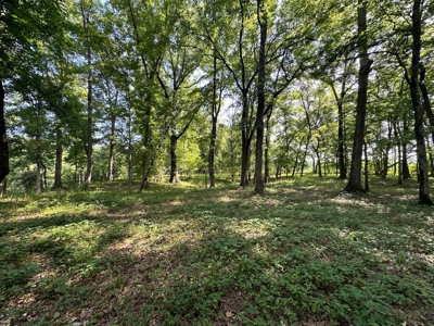 Riverfront Lot For Sale Little Red River Heber Springs, AR - image 26