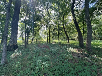 Riverfront Lot For Sale Little Red River Heber Springs, AR - image 19