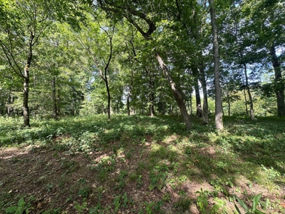 Riverfront Lot For Sale Little Red River Heber Springs, AR - image 6