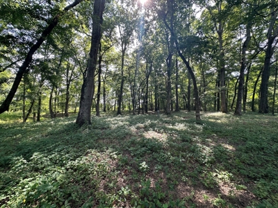 Riverfront Lot For Sale Little Red River Heber Springs, AR - image 29