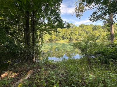 Riverfront Lot For Sale Little Red River Heber Springs, AR - image 14